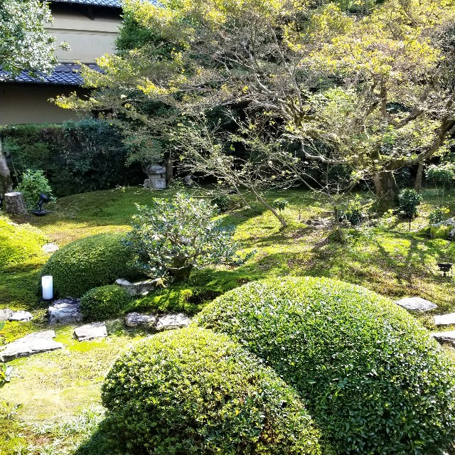 f:id:atoriatoriatori:20201103102112j:image