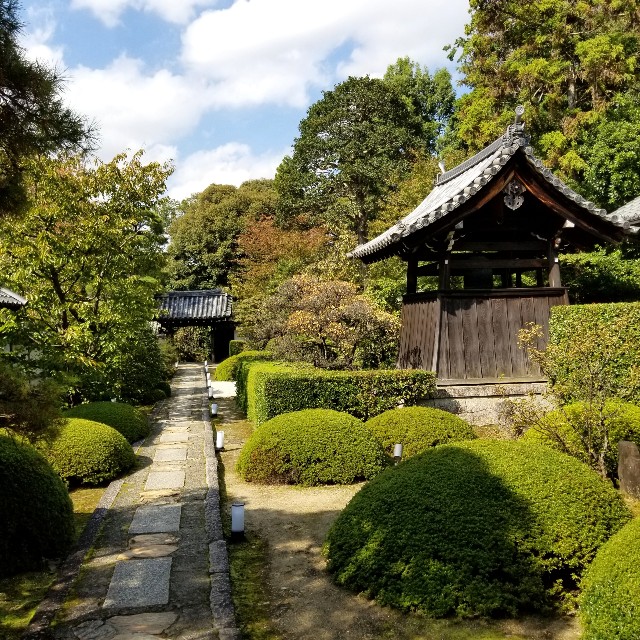f:id:atoriatoriatori:20201103111845j:image