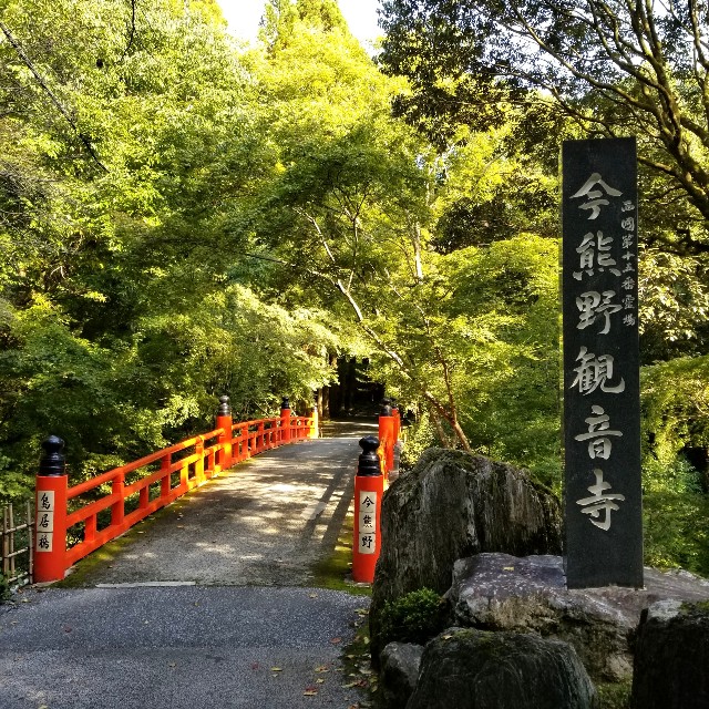 f:id:atoriatoriatori:20201107105125j:image f:id:atoriatoriatori:20201107105125j:image