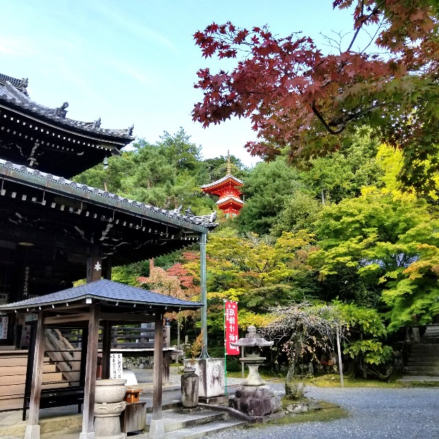 f:id:atoriatoriatori:20201108144159j:image f:id:atoriatoriatori:20201108144159j:image