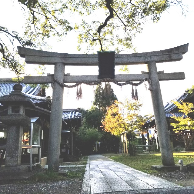 f:id:atoriatoriatori:20201111132227j:image f:id:atoriatoriatori:20201111132227j:image