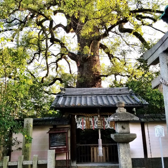 f:id:atoriatoriatori:20201111132239j:image f:id:atoriatoriatori:20201111132239j:image