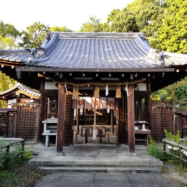 f:id:atoriatoriatori:20201111134657j:image f:id:atoriatoriatori:20201111134657j:image