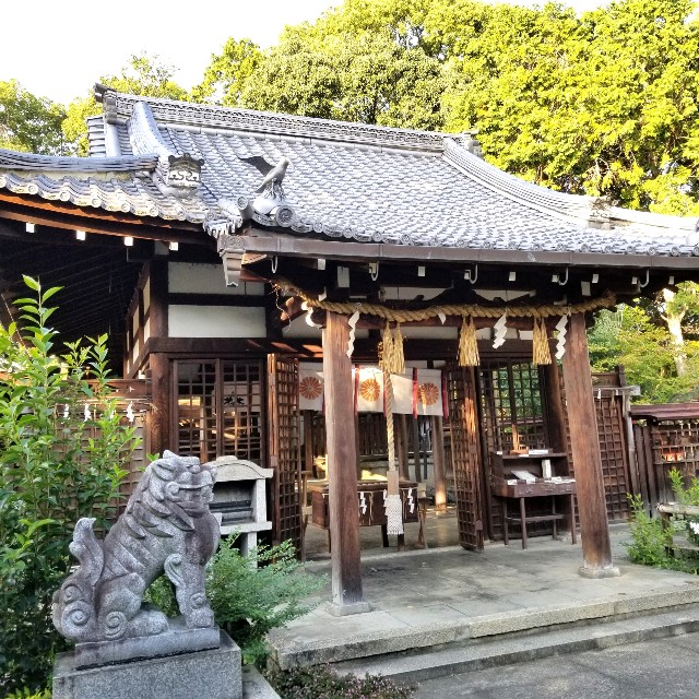 f:id:atoriatoriatori:20201111134705j:image f:id:atoriatoriatori:20201111134705j:image
