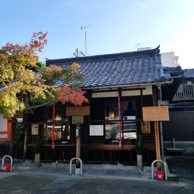 f:id:atoriatoriatori:20201112214022j:image