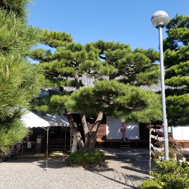 f:id:atoriatoriatori:20201113095422j:image