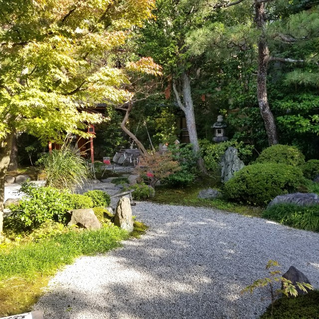 f:id:atoriatoriatori:20201113100314j:image
