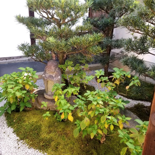 f:id:atoriatoriatori:20201114195123j:image