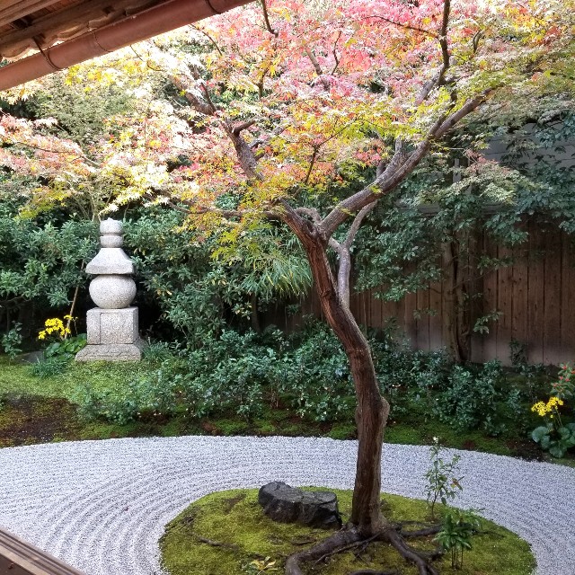 f:id:atoriatoriatori:20201114212200j:image