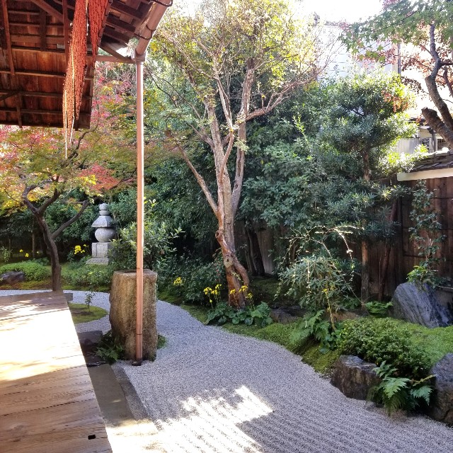 f:id:atoriatoriatori:20201114212800j:image