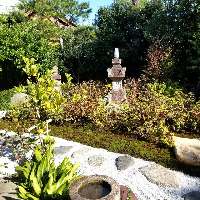 f:id:atoriatoriatori:20201114212824j:image