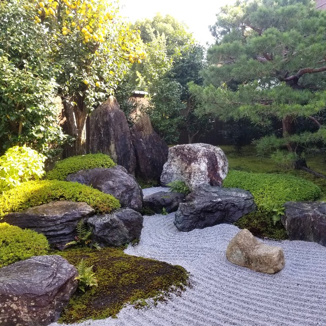 f:id:atoriatoriatori:20201115094433j:image