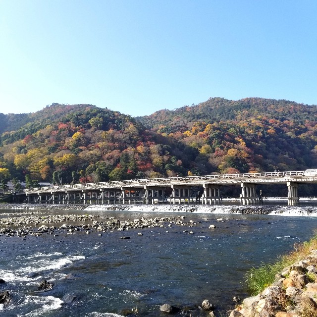 f:id:atoriatoriatori:20201120203609j:image f:id:atoriatoriatori:20201120203609j:image