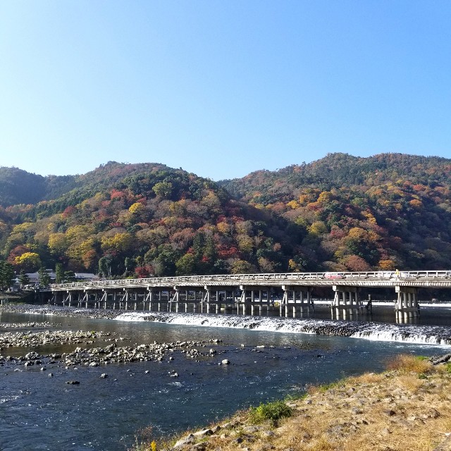 f:id:atoriatoriatori:20201120205132j:image f:id:atoriatoriatori:20201120205132j:image