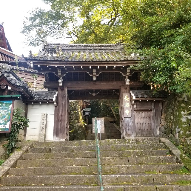 f:id:atoriatoriatori:20201121095332j:image