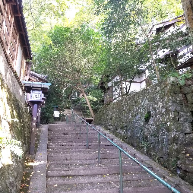 f:id:atoriatoriatori:20201121170048j:image