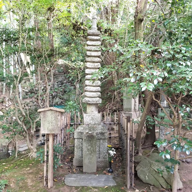 f:id:atoriatoriatori:20201121205053j:image