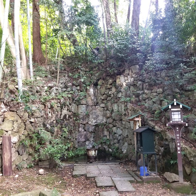 f:id:atoriatoriatori:20201121205139j:image