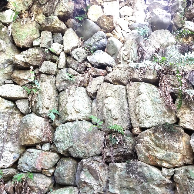 f:id:atoriatoriatori:20201121205208j:image