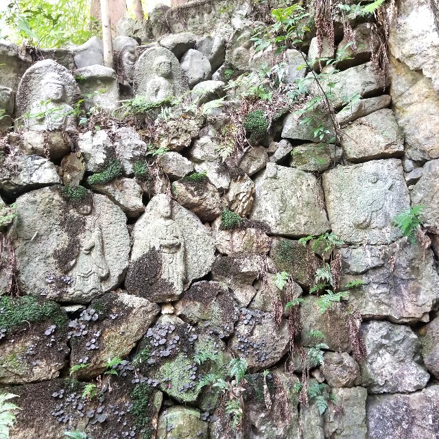 f:id:atoriatoriatori:20201121205219j:image