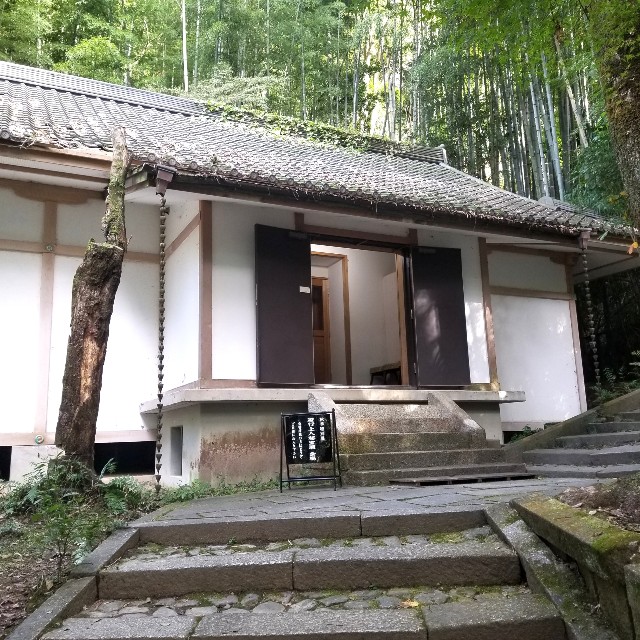 f:id:atoriatoriatori:20201121205608j:image
