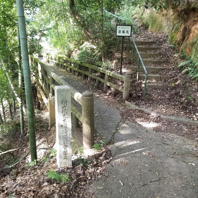 f:id:atoriatoriatori:20201122092328j:image