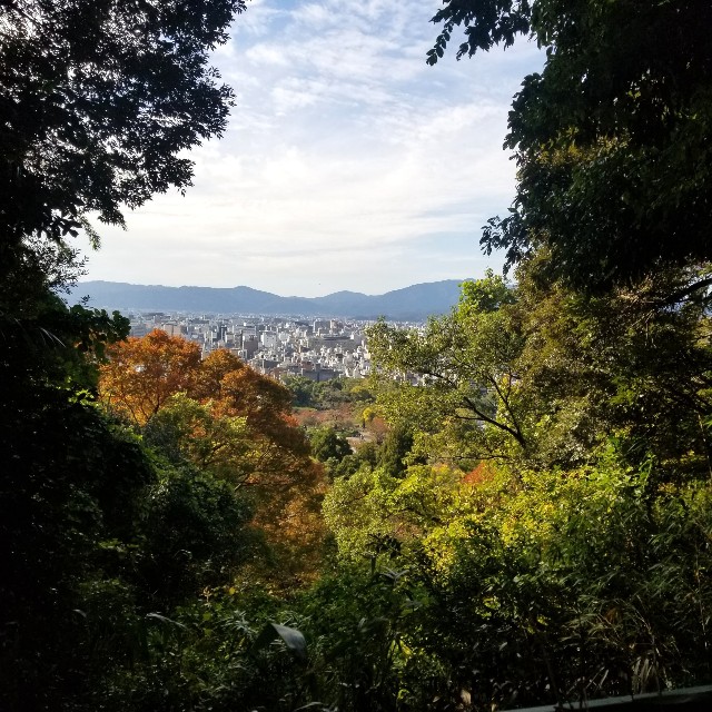 f:id:atoriatoriatori:20201122092345j:image