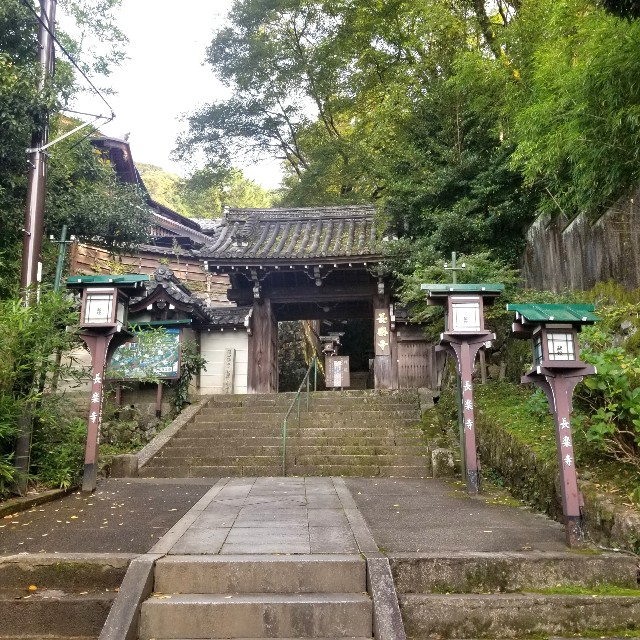 f:id:atoriatoriatori:20201122093745j:image