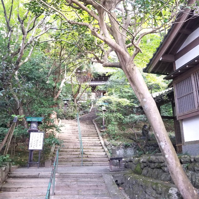 f:id:atoriatoriatori:20201122093851j:image
