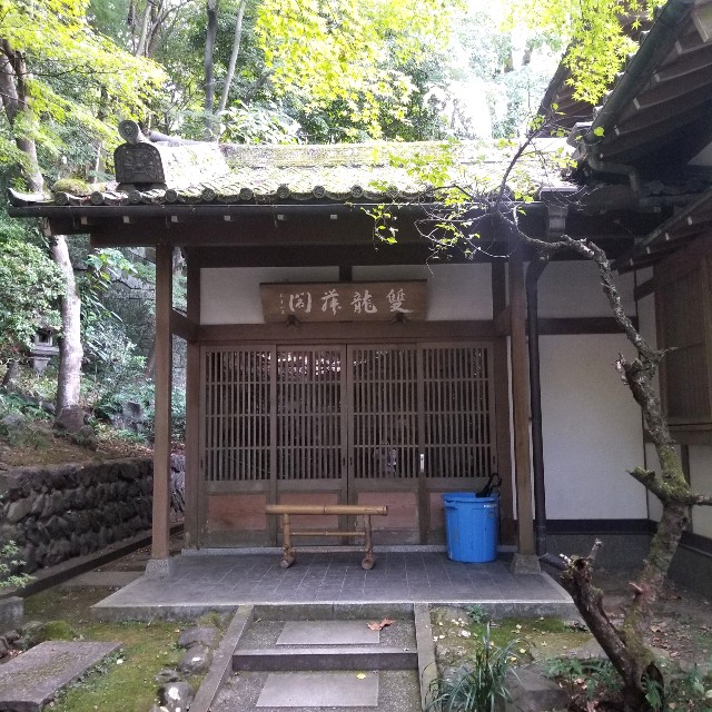 f:id:atoriatoriatori:20201122094205j:image