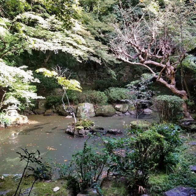 f:id:atoriatoriatori:20201122095555j:image