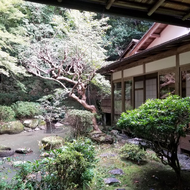 f:id:atoriatoriatori:20201122095602j:image