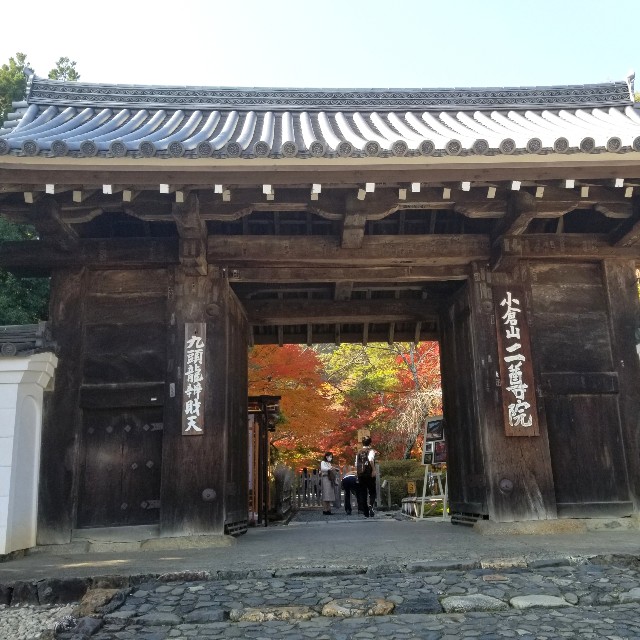 f:id:atoriatoriatori:20201126131646j:image