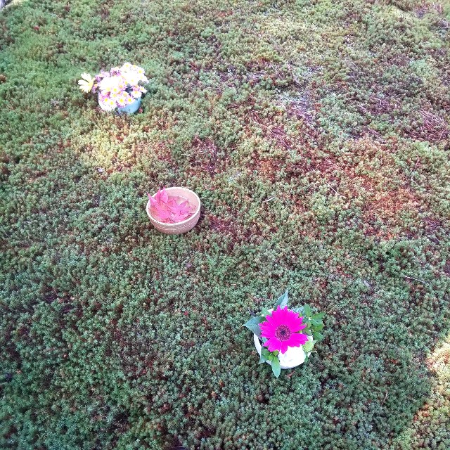f:id:atoriatoriatori:20201126134134j:image