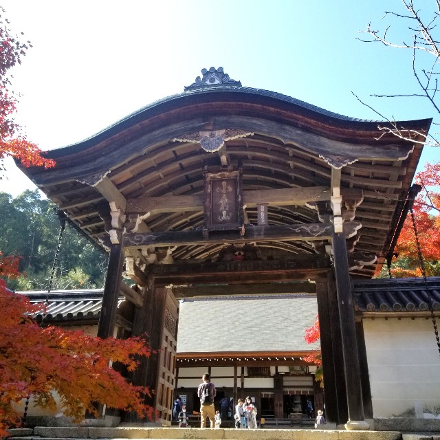 f:id:atoriatoriatori:20201126145754j:image