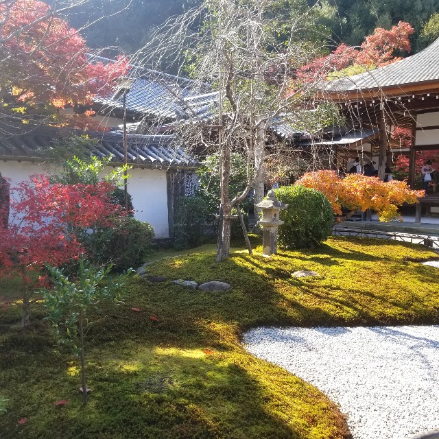 f:id:atoriatoriatori:20201126150006j:image
