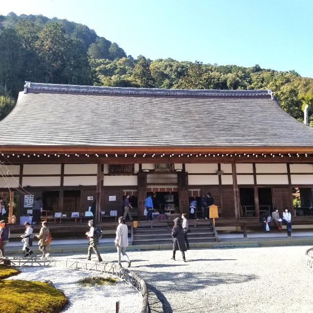 f:id:atoriatoriatori:20201126161148j:image
