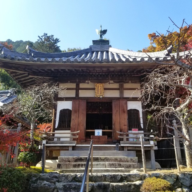 f:id:atoriatoriatori:20201126162458j:image