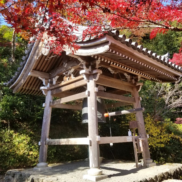 f:id:atoriatoriatori:20201126163456j:image