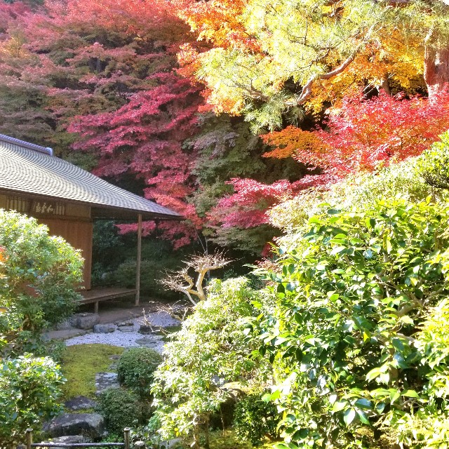 f:id:atoriatoriatori:20201126175747j:image
