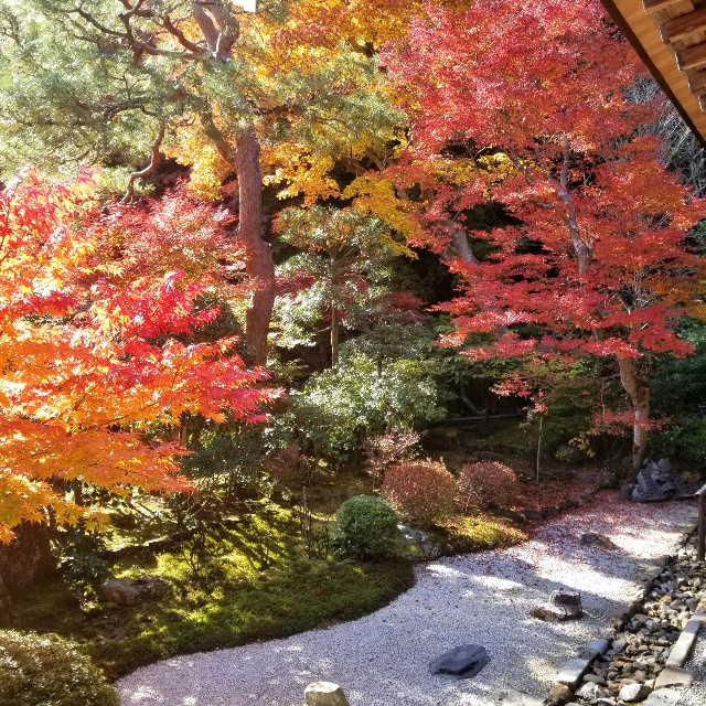 f:id:atoriatoriatori:20201126175756j:image
