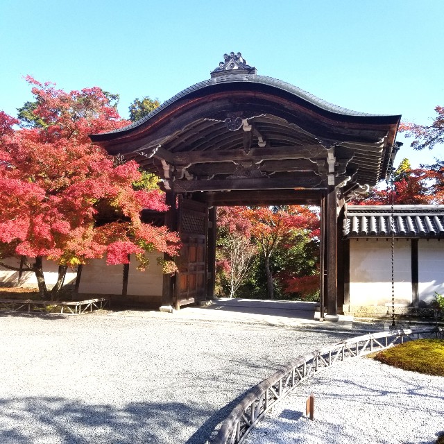 f:id:atoriatoriatori:20201126180444j:image