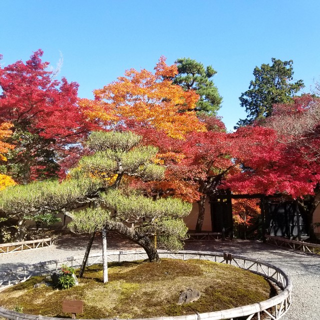 f:id:atoriatoriatori:20201126212302j:image