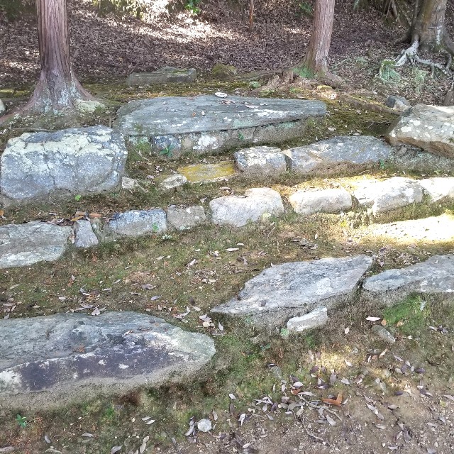 f:id:atoriatoriatori:20201126213501j:image