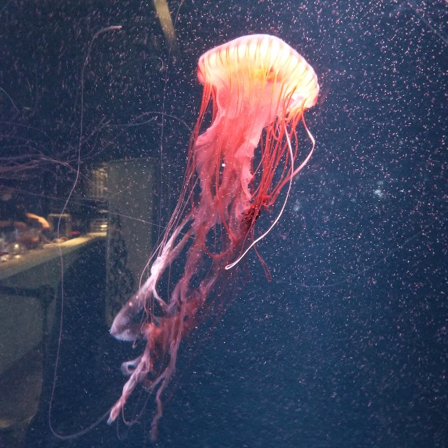 f:id:atoriatoriatori:20201223110857j:image