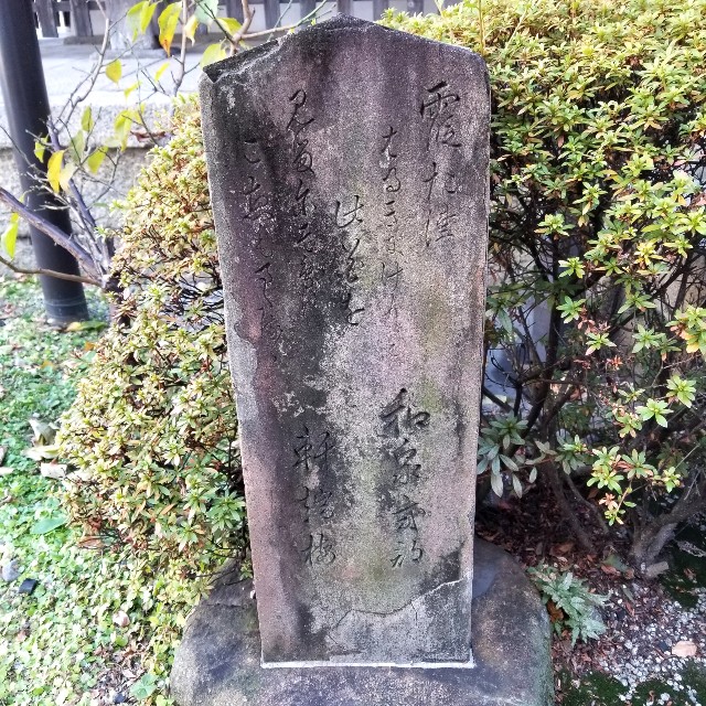 f:id:atoriatoriatori:20210107085832j:image