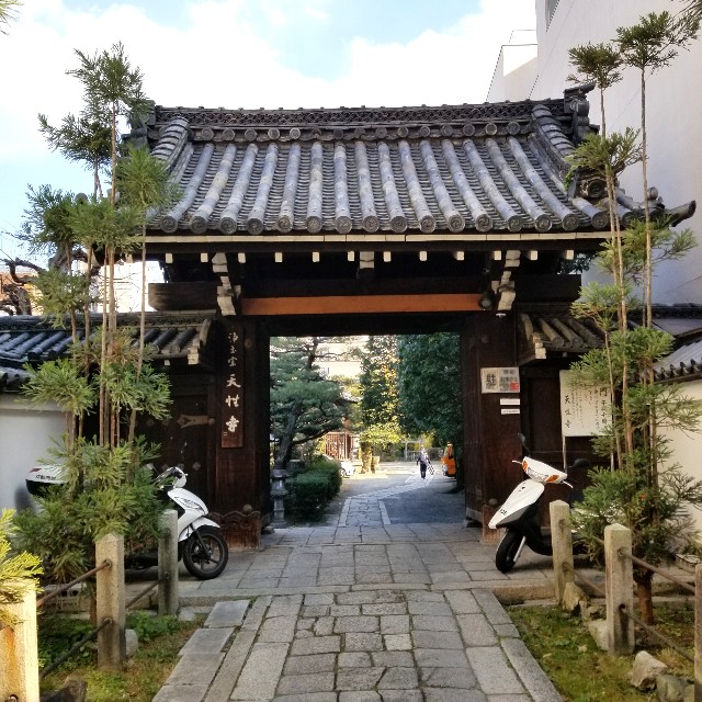 f:id:atoriatoriatori:20210110121018j:image