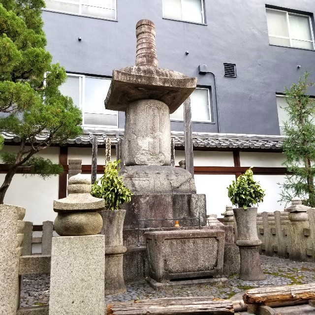 f:id:atoriatoriatori:20210111180033j:image f:id:atoriatoriatori:20210111180033j:image