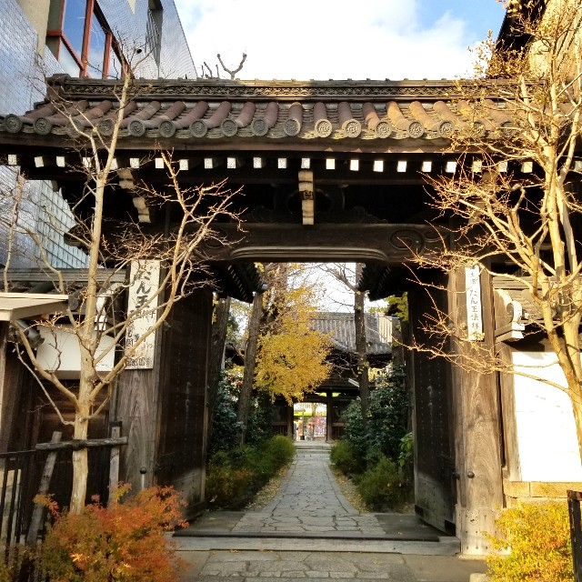 f:id:atoriatoriatori:20210114160330j:image