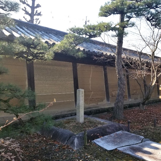 f:id:atoriatoriatori:20210120103026j:image